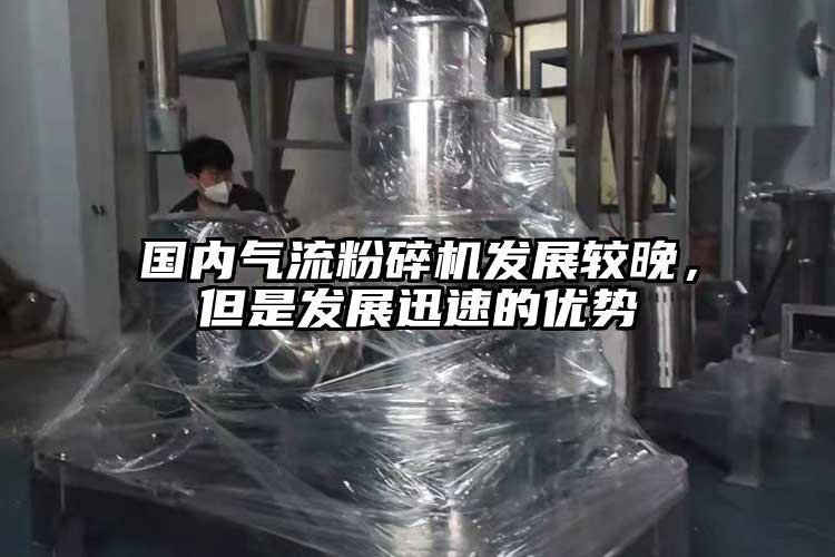 国内气流茄子视频在线看污发展较晚，但是发展迅速的优势