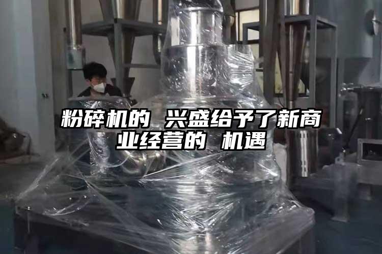 茄子视频在线看污的 兴盛给予了新商业经营的 机遇