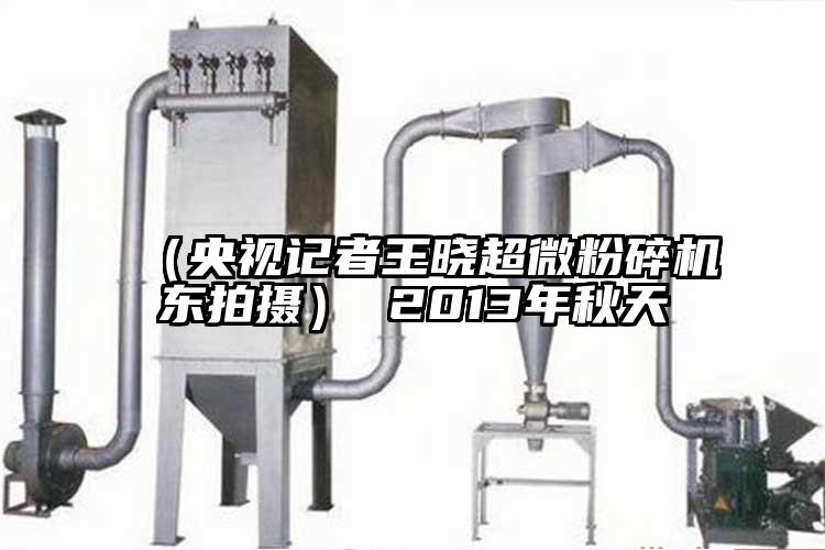（央视记者王晓超微茄子视频在线看污东拍摄） 2013年秋天
