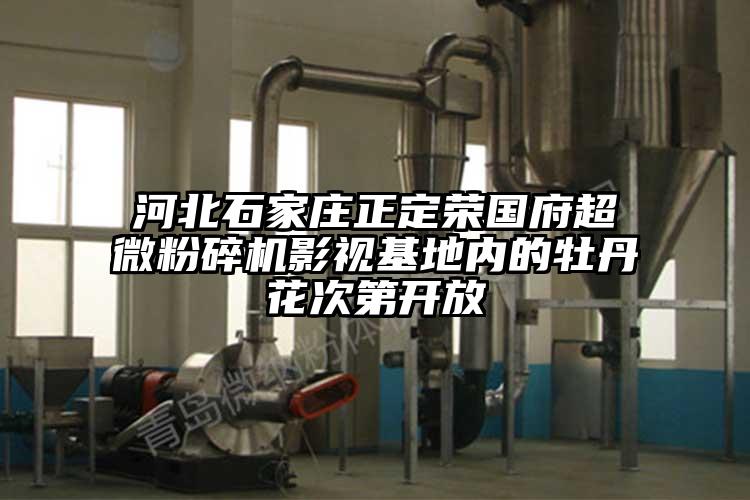 河北石家庄正定荣国府超微茄子视频在线看污影视基地内的牡丹花次第开放