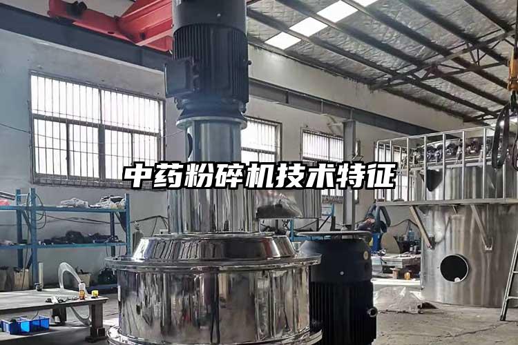 中药茄子视频在线看污技术特征