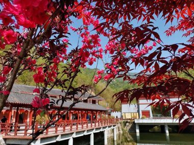 “知名度、美誉度以及地方政府对旅超微茄子视频在线看污游业和生态建设的重视程度”亦是重要的参考因素